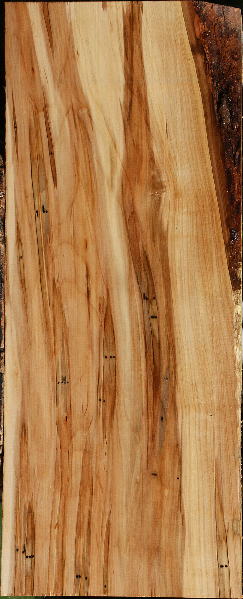 Ambrosia Maple Lumber