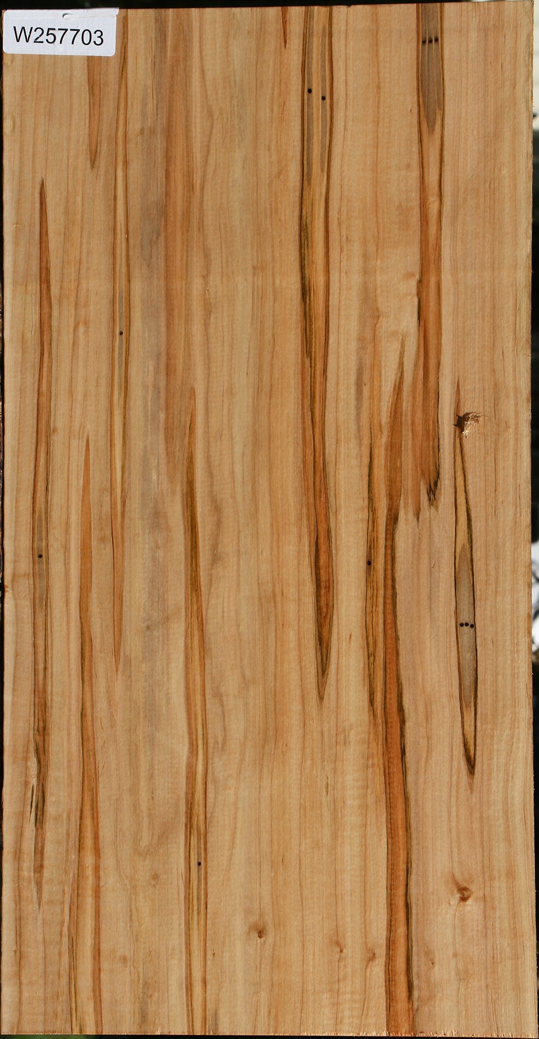 Ambrosia Maple Lumber