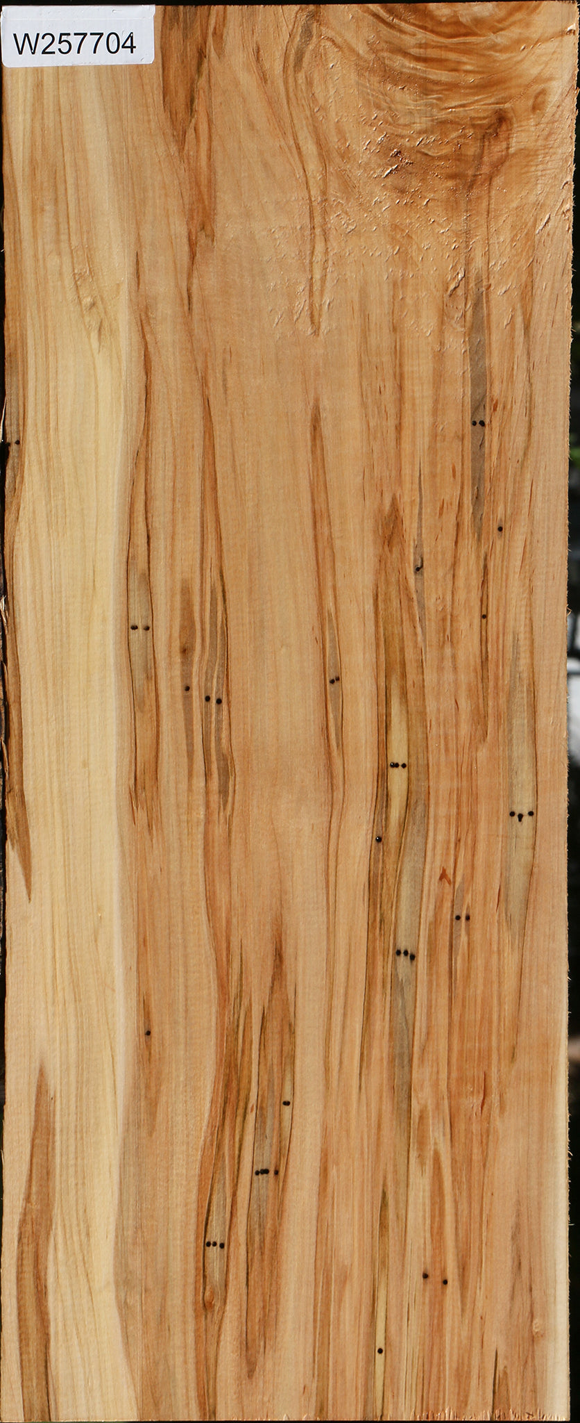 Figured Ambrosia Maple Lumber