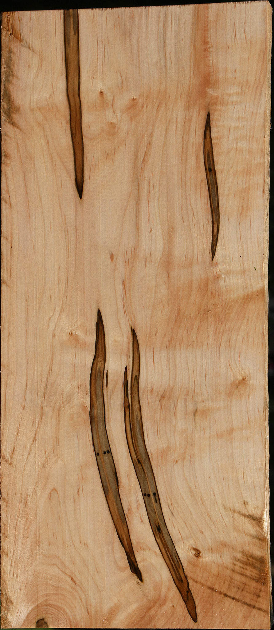 Ambrosia Maple Lumber