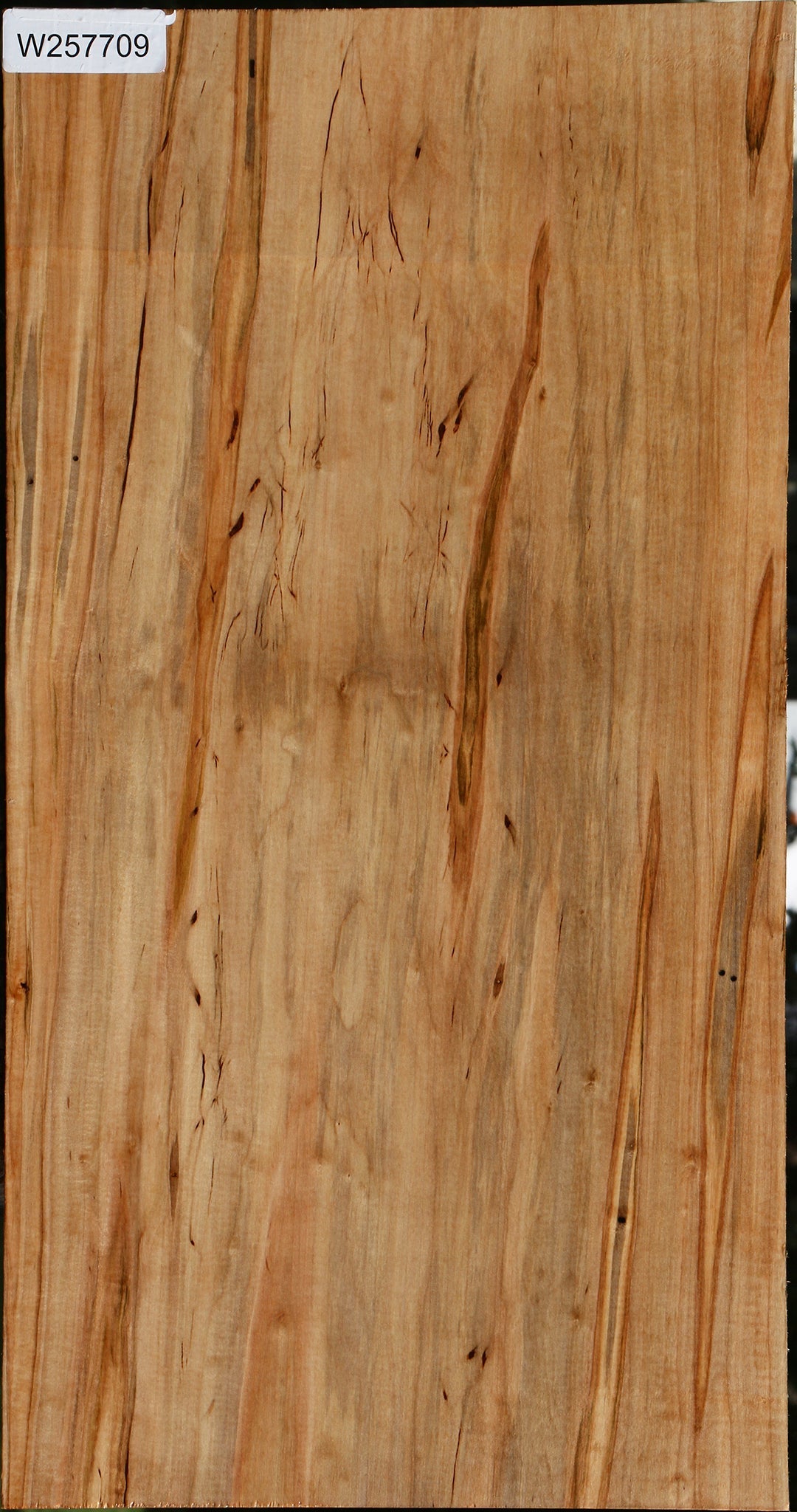 Ambrosia Maple Lumber
