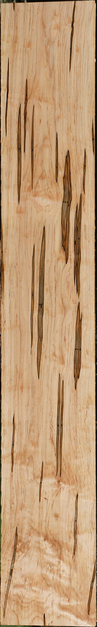 Figured Ambrosia Maple Lumber