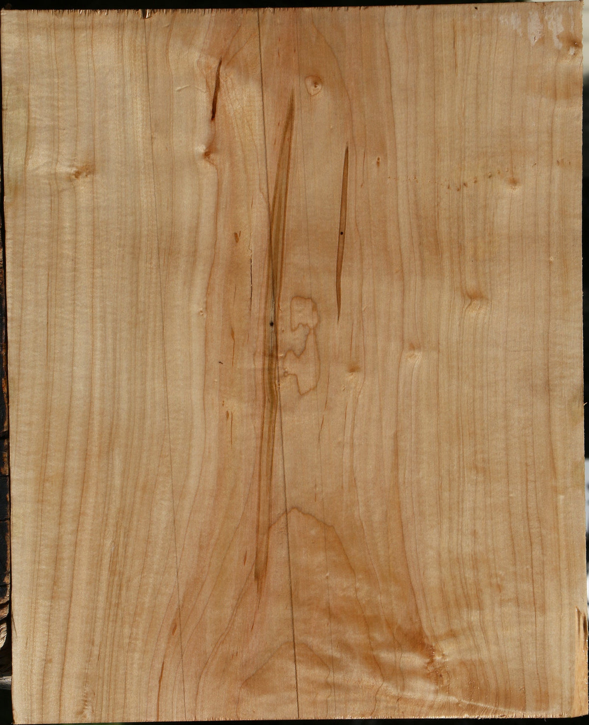 Ambrosia Maple Lumber