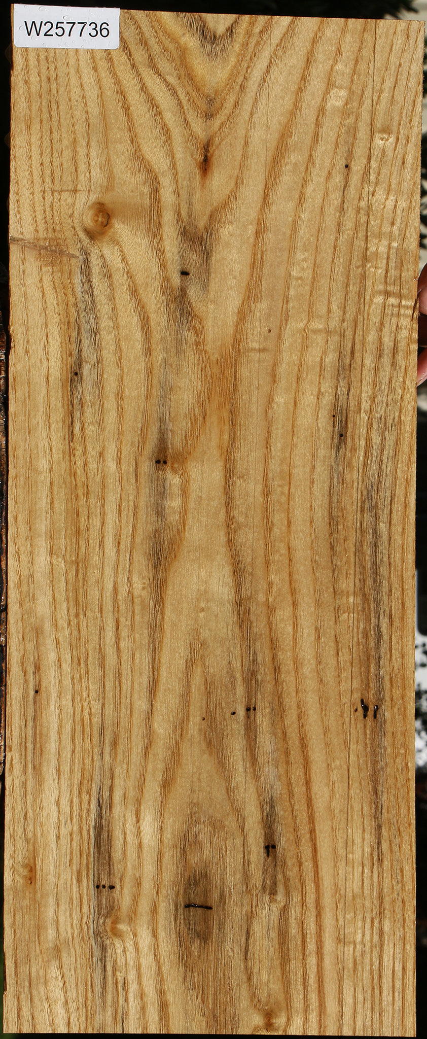 Butternut Lumber