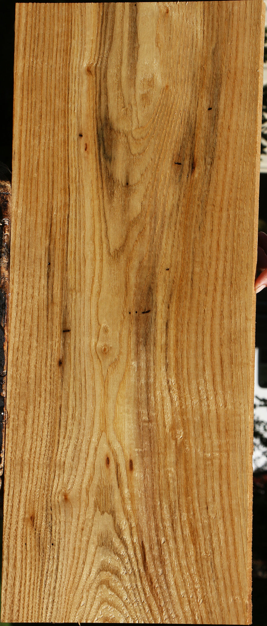Butternut Lumber