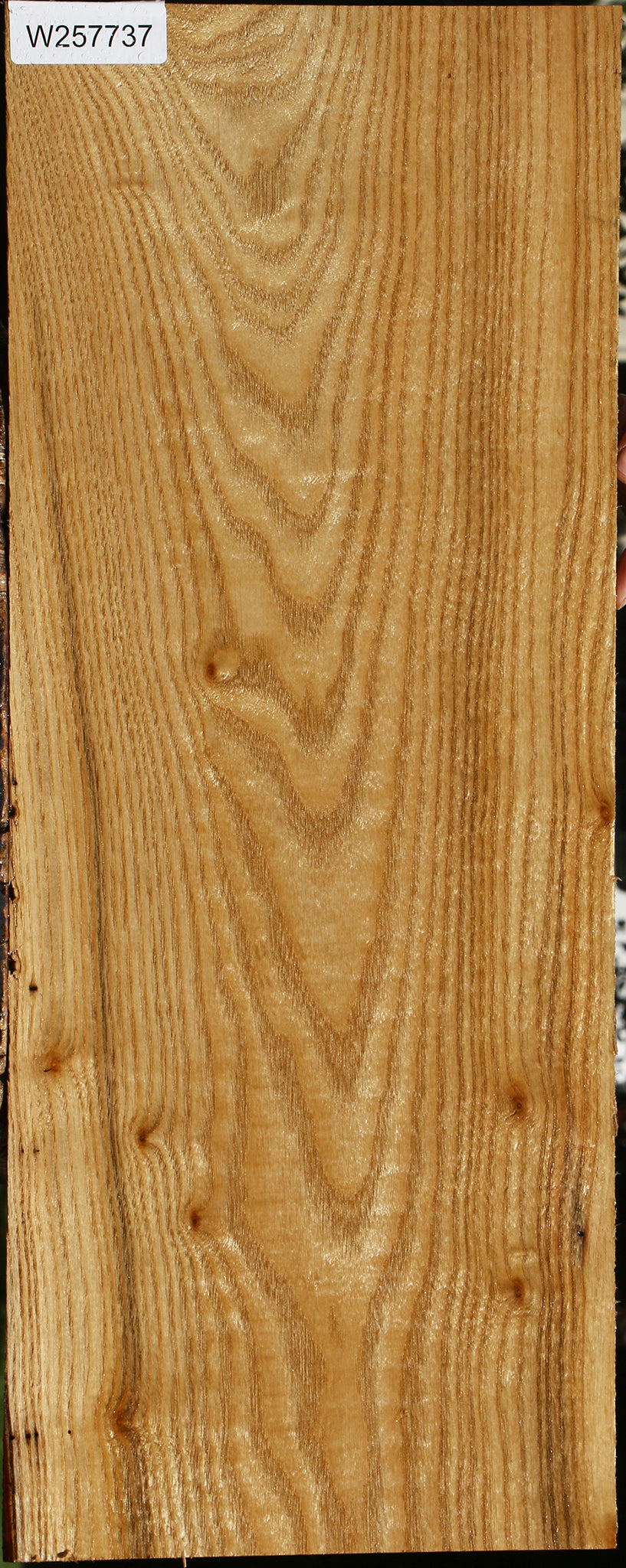 Butternut Lumber