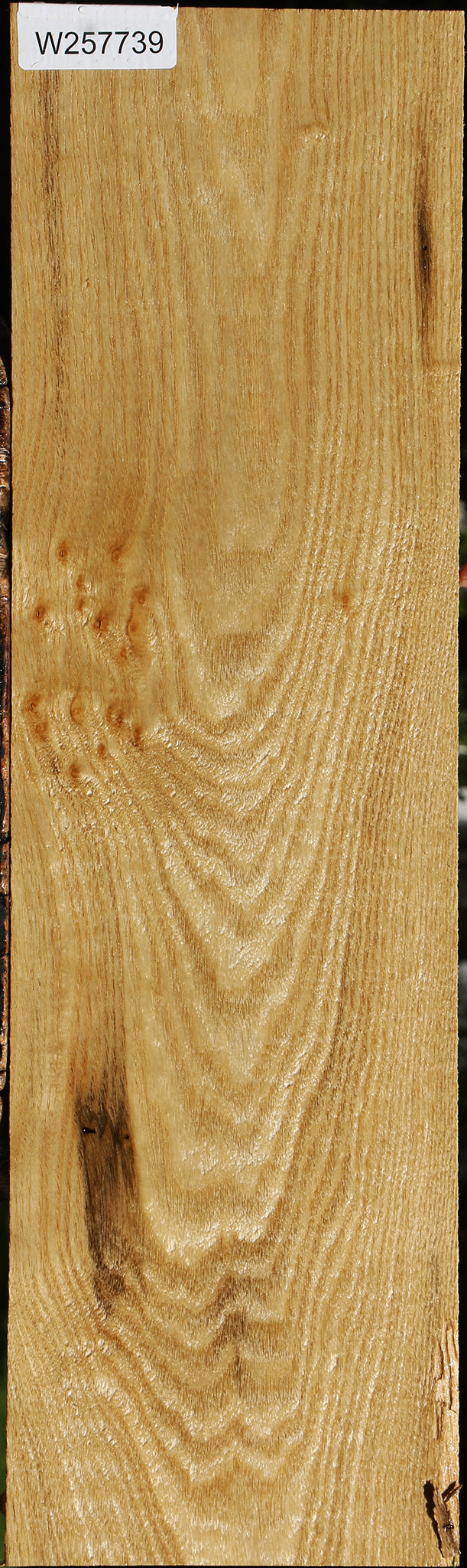 Figured Butternut Lumber