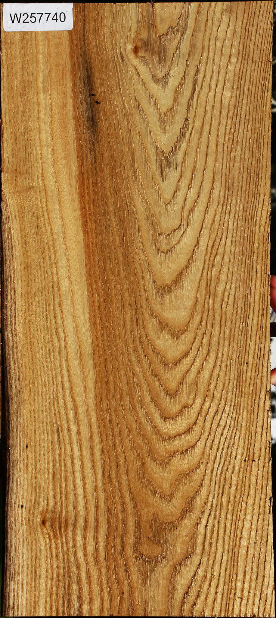 Butternut Lumber