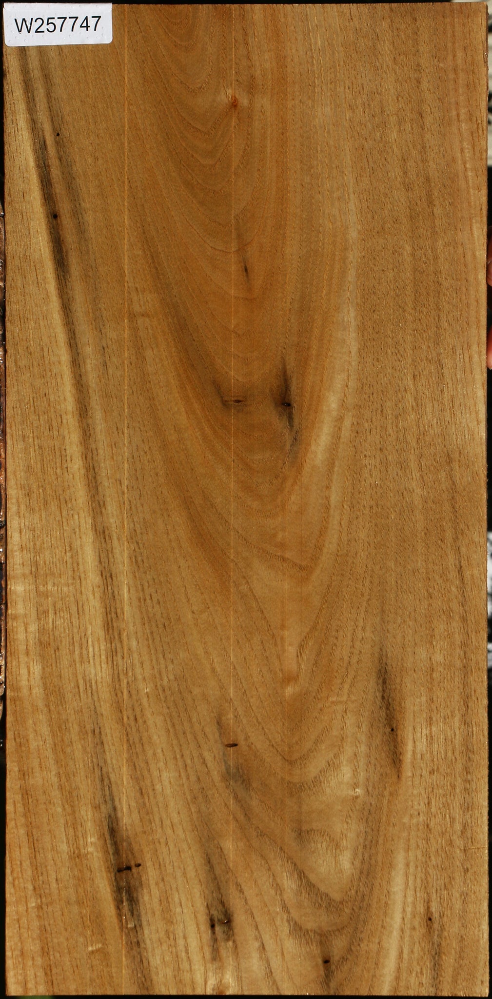 Butternut Lumber