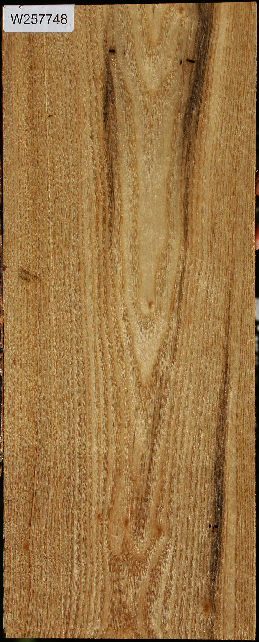 Butternut Lumber