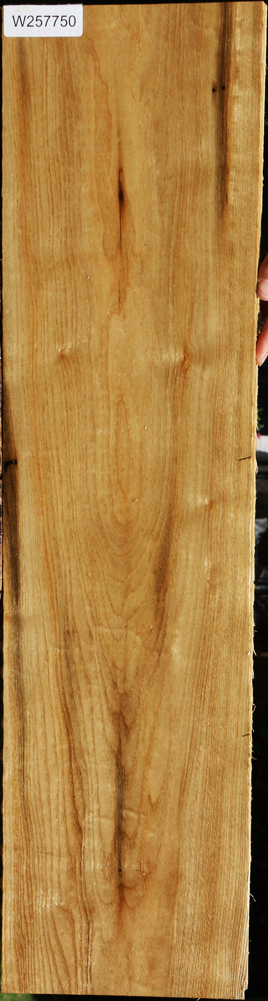 Butternut Lumber