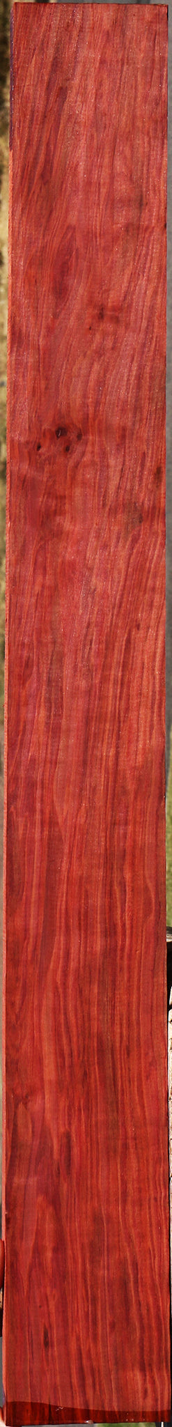 Extra Fancy Redheart Lumber