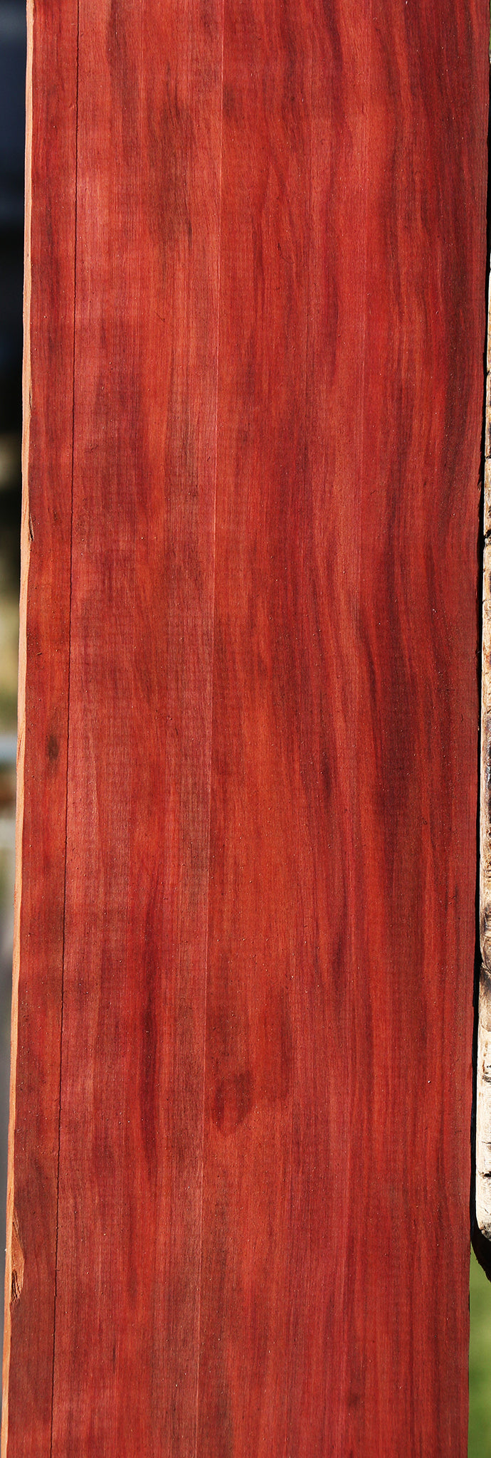 Extra Fancy Redheart Lumber