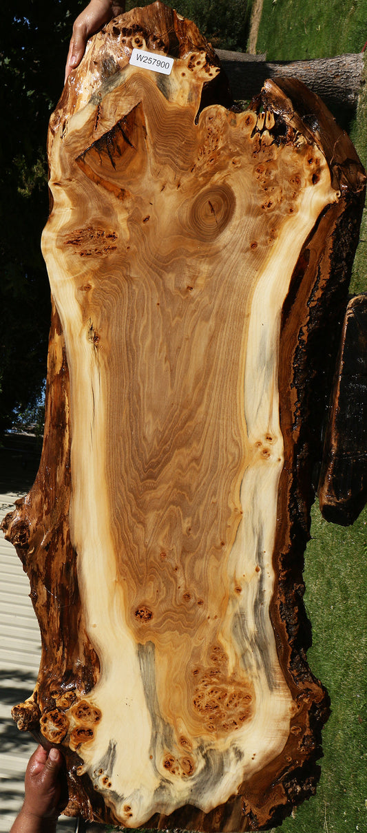 Figured California Cottonwood Live Edge Mini Slab