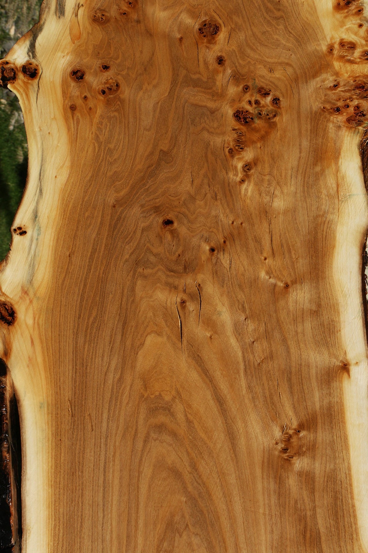 Figured California Cottonwood Live Edge Mini Slab