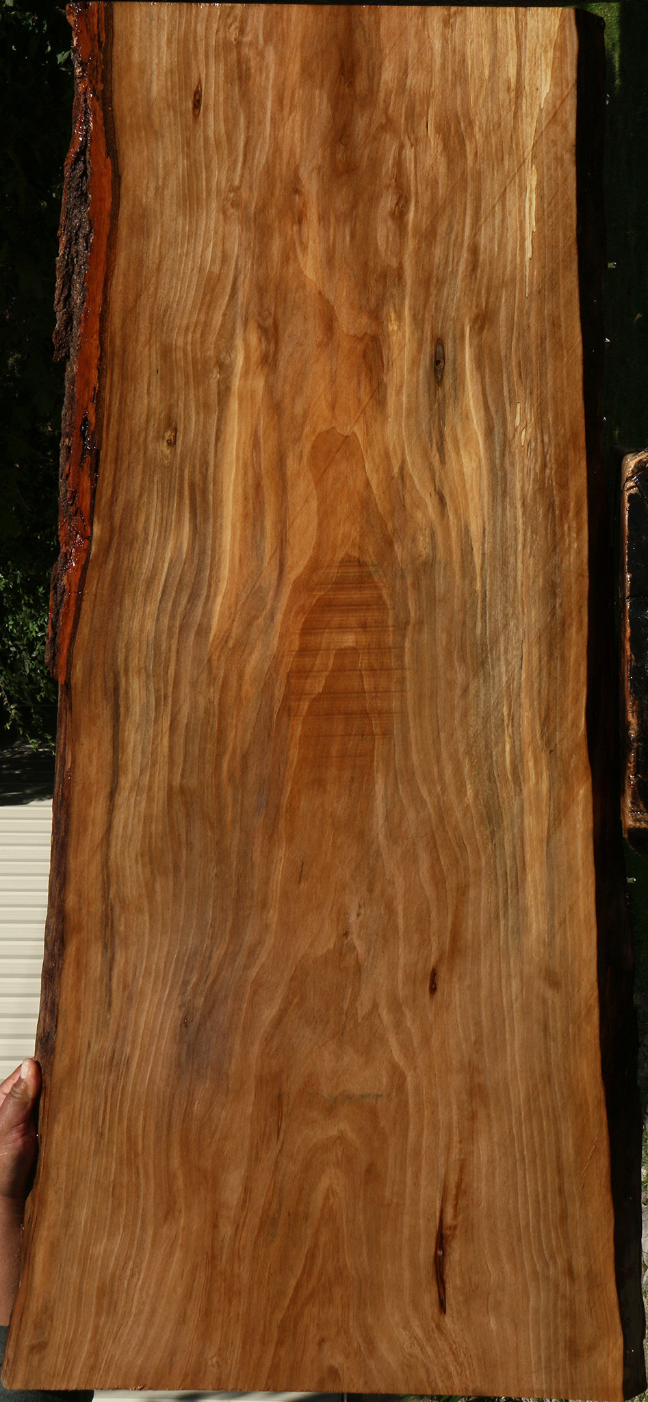 Sweet Gum Live Edge Mini Slab