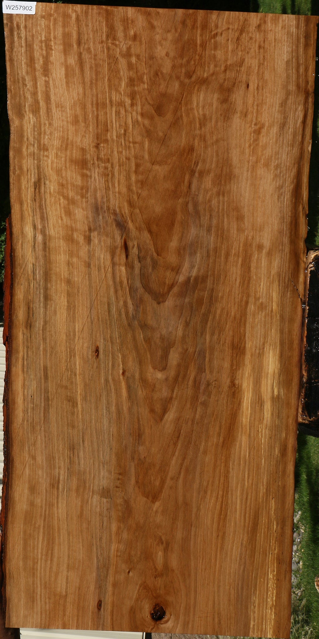 Sweet Gum Live Edge Mini Slab (Free Shipping Excluded)