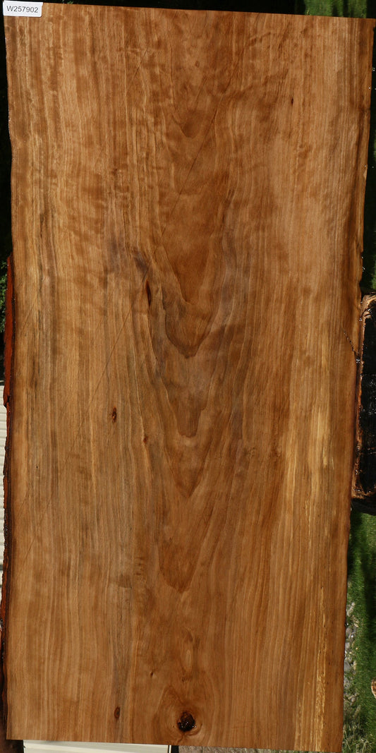 Sweet Gum Live Edge Mini Slab (Free Shipping Excluded)
