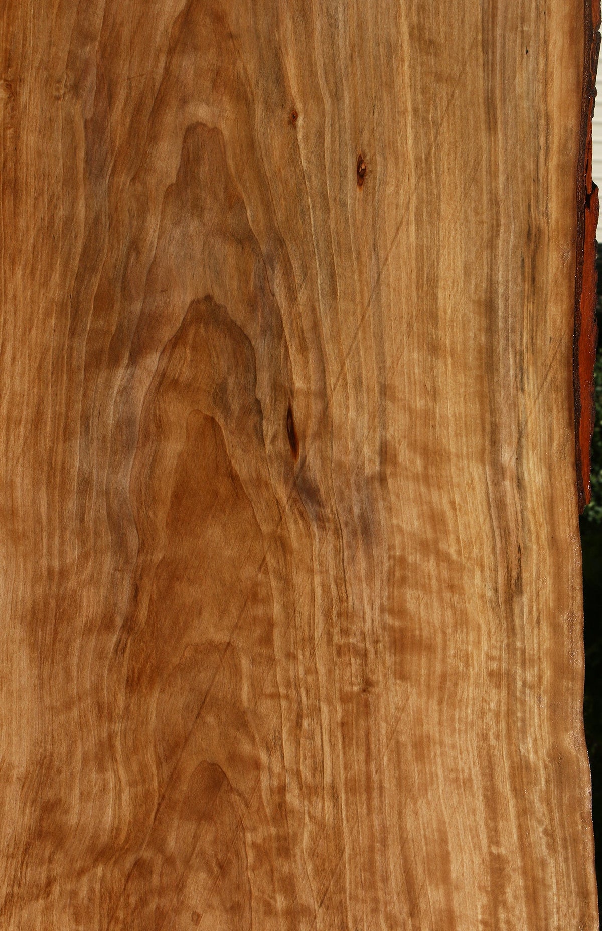 Sweet Gum Live Edge Mini Slab (Free Shipping Excluded)