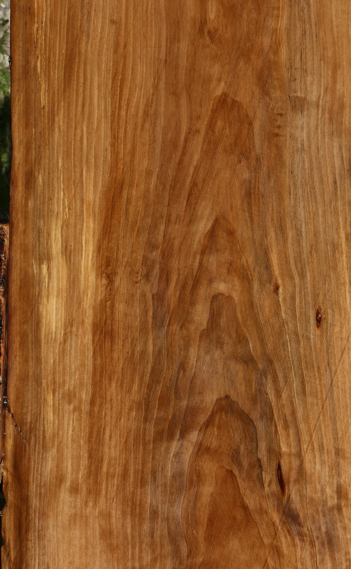 Sweet Gum Live Edge Mini Slab (Free Shipping Excluded)