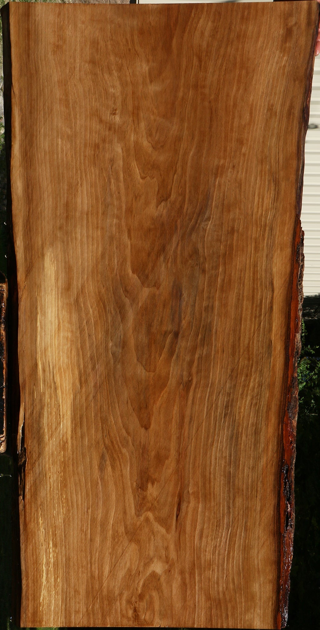 Sweet Gum Live Edge Mini Slab (Free Shipping Excluded)