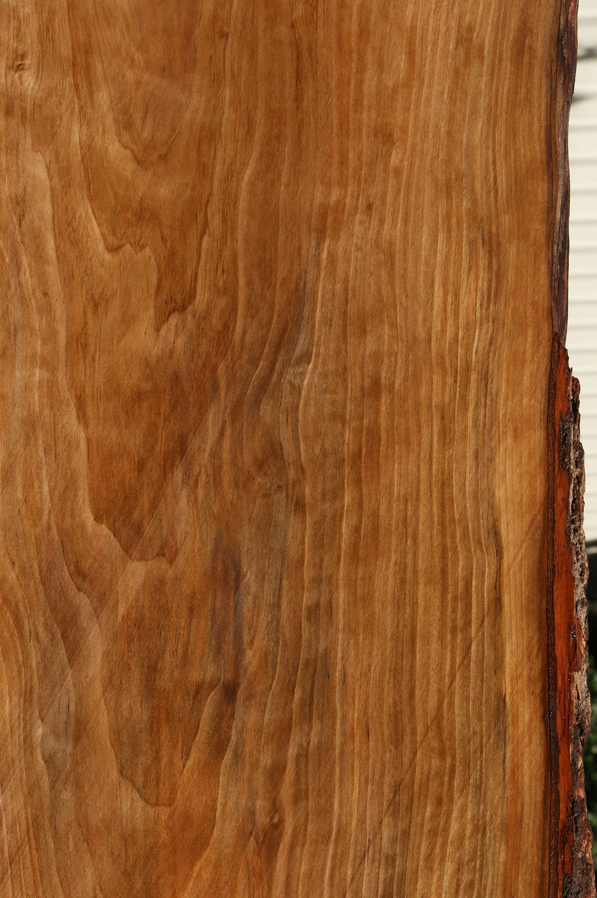Sweet Gum Live Edge Mini Slab (Free Shipping Excluded)