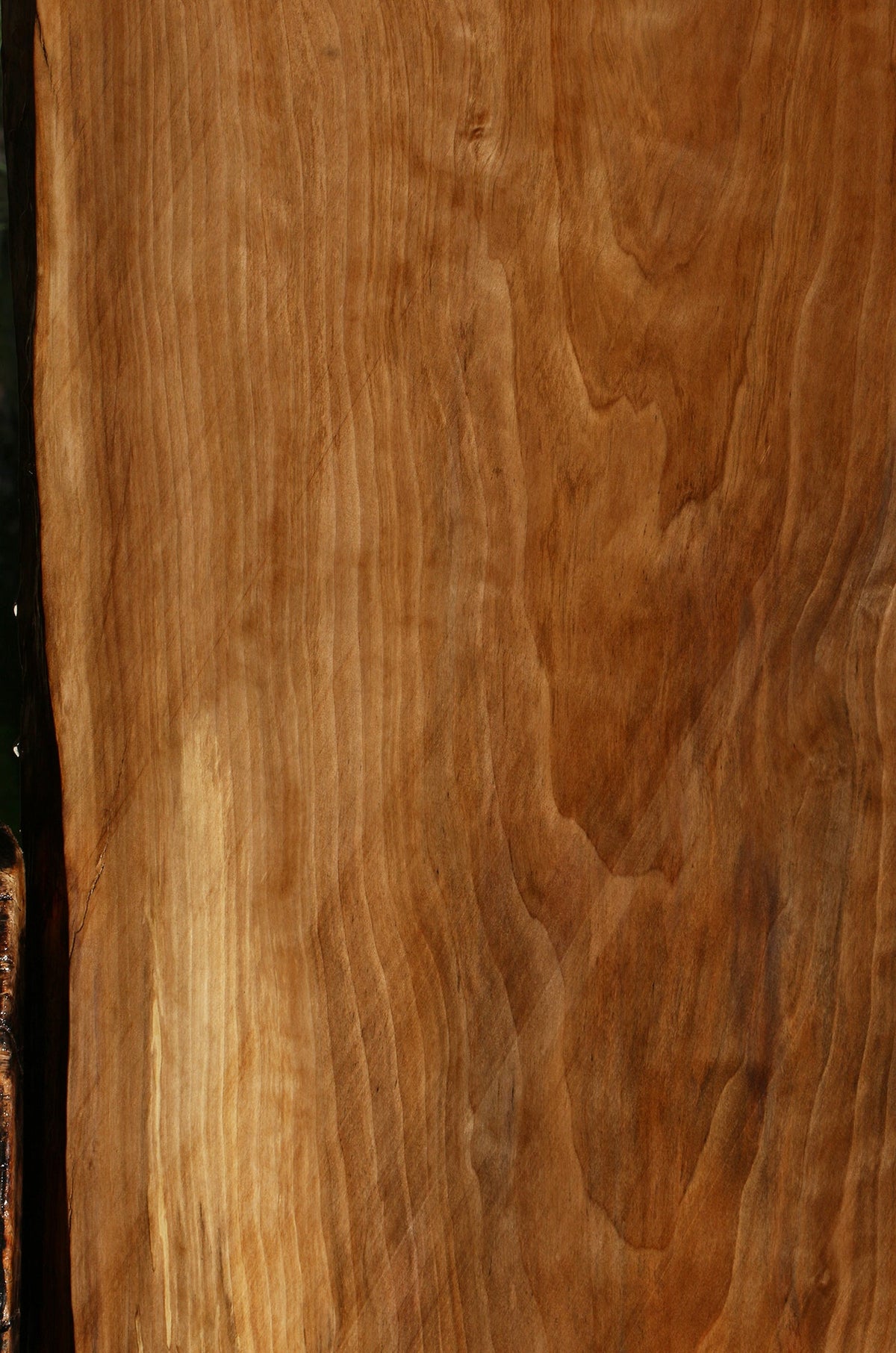 Sweet Gum Live Edge Mini Slab (Free Shipping Excluded)
