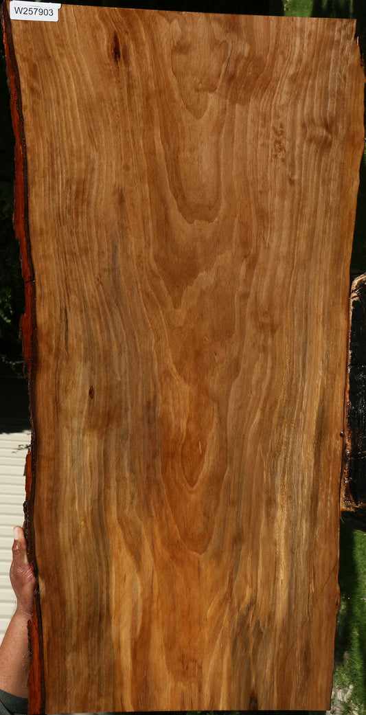 Sweet Gum Live Edge Mini Slab