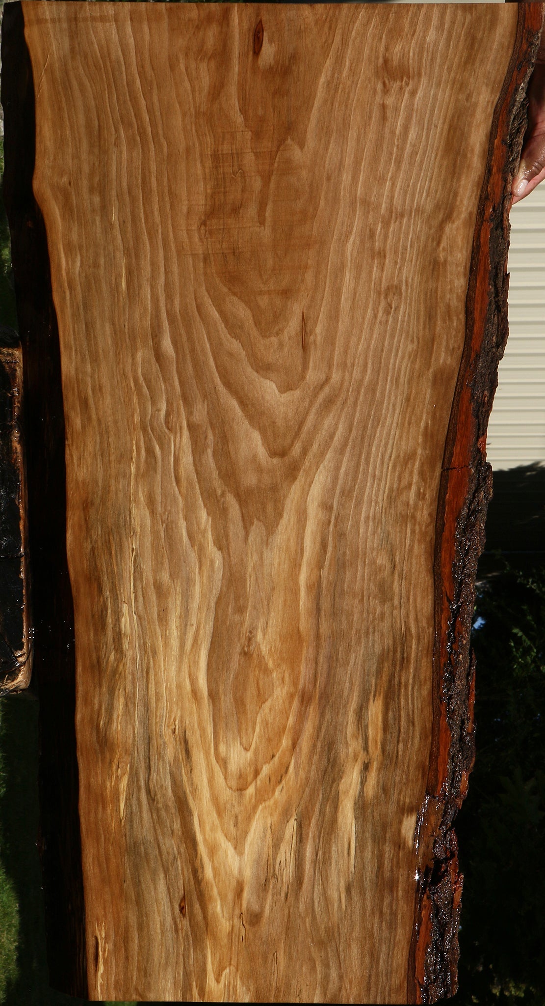 Sweet Gum Live Edge Mini Slab
