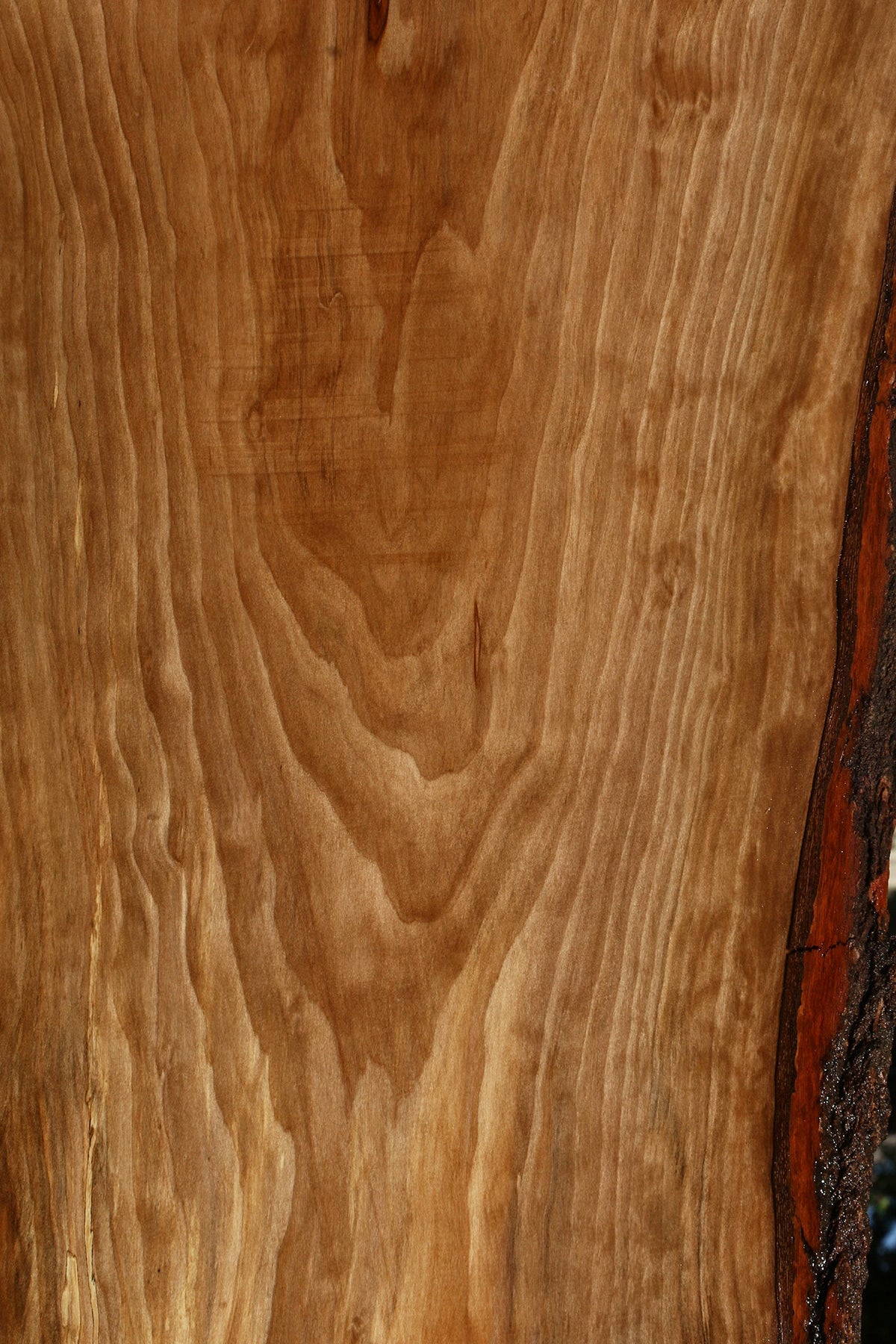 Sweet Gum Live Edge Mini Slab