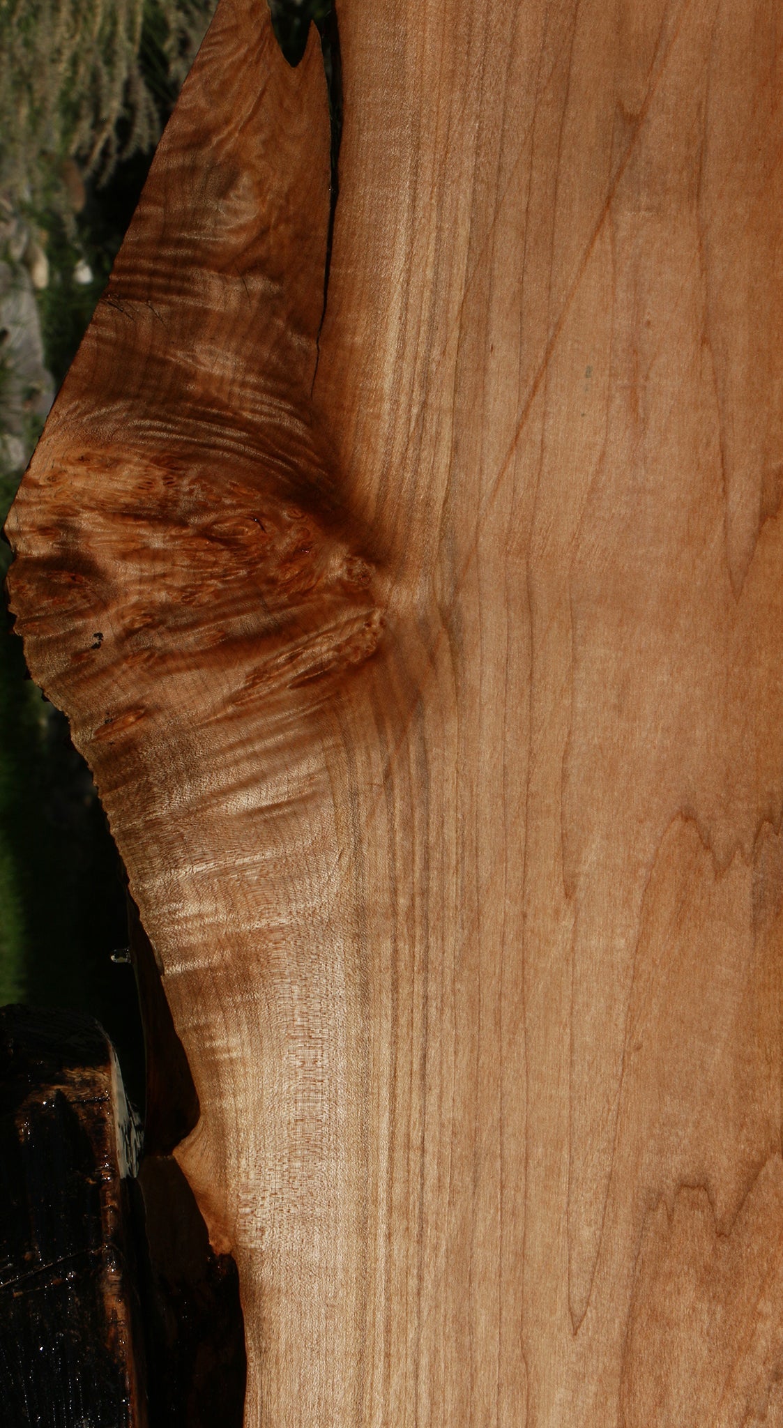 Figured Maple Live Edge Slab (Free Shipping Excluded)