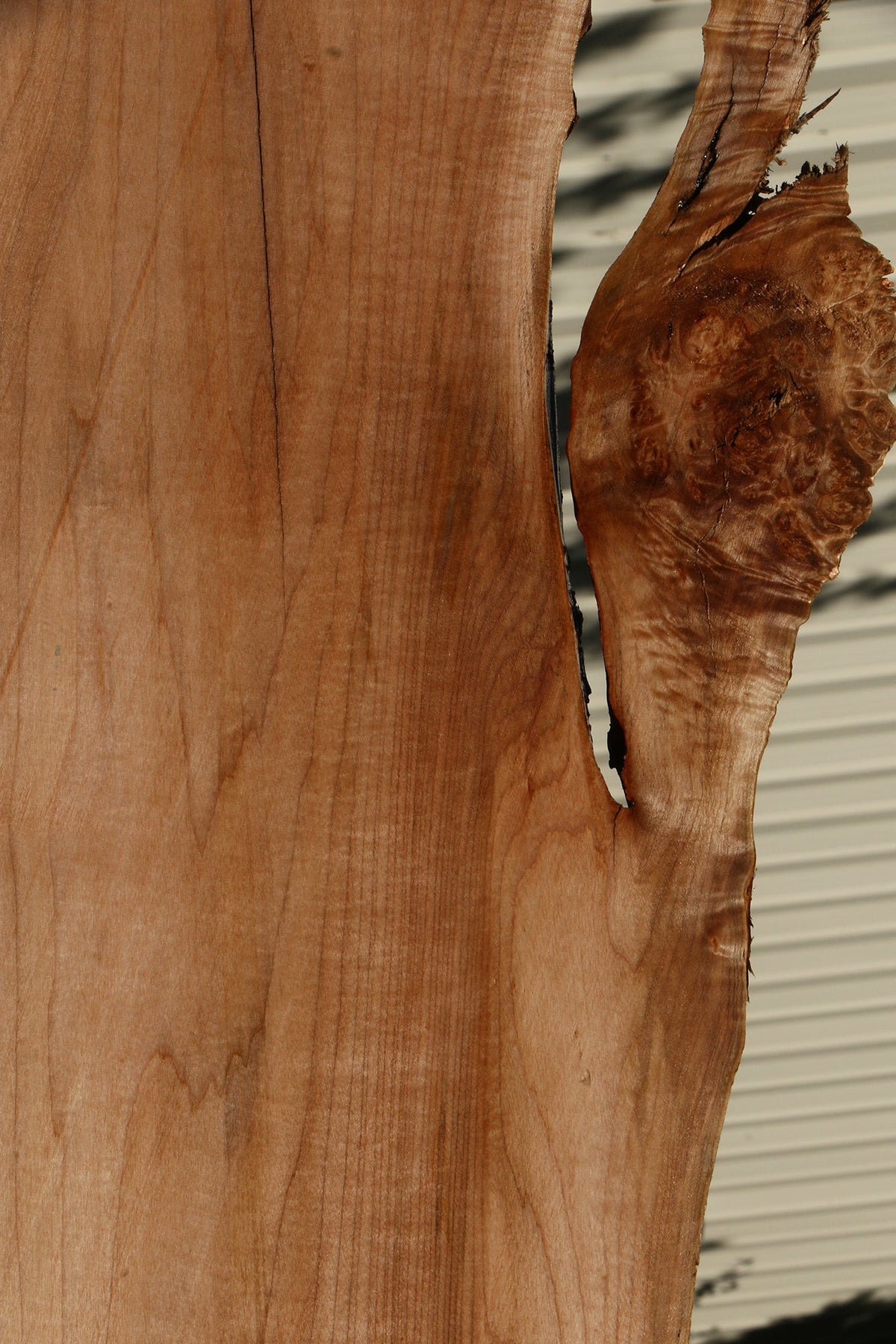 Figured Maple Live Edge Slab (Free Shipping Excluded)