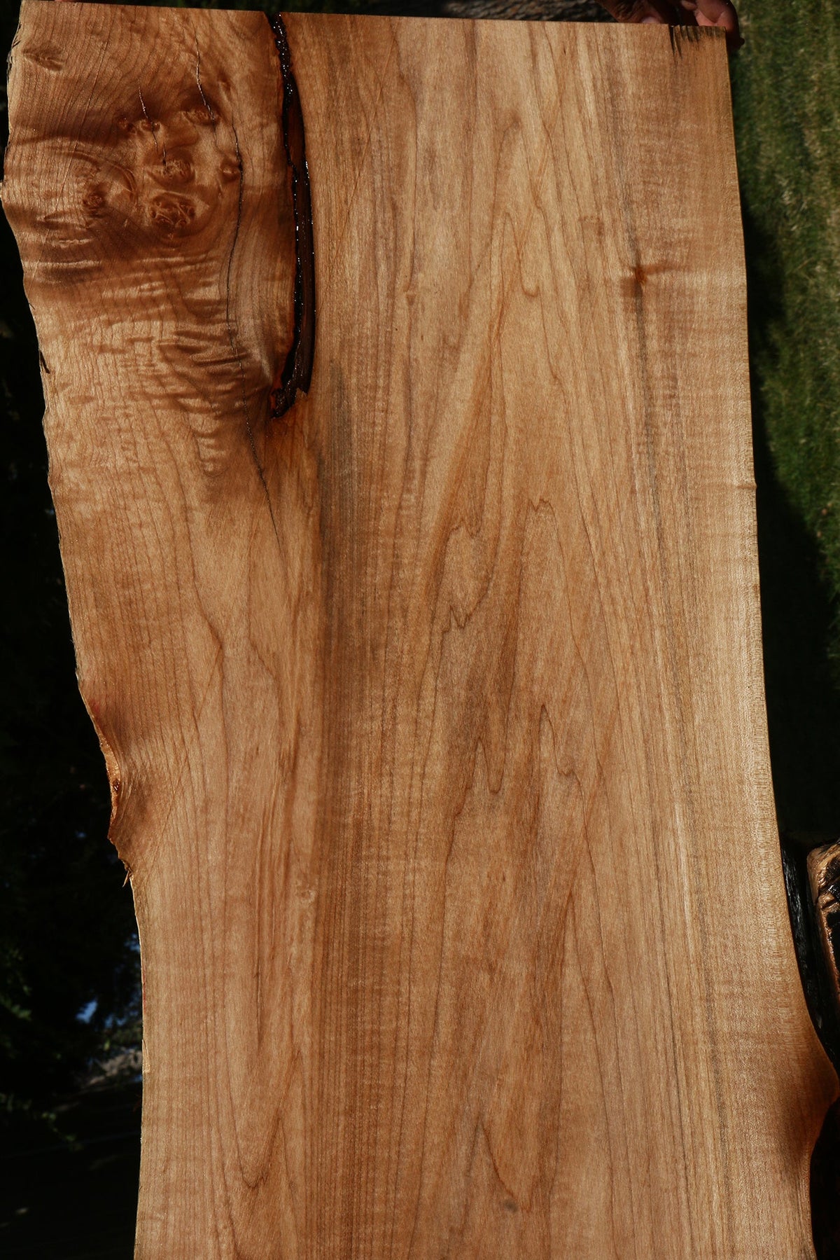 Figured Maple Live Edge Slab (Free Shipping Excluded)