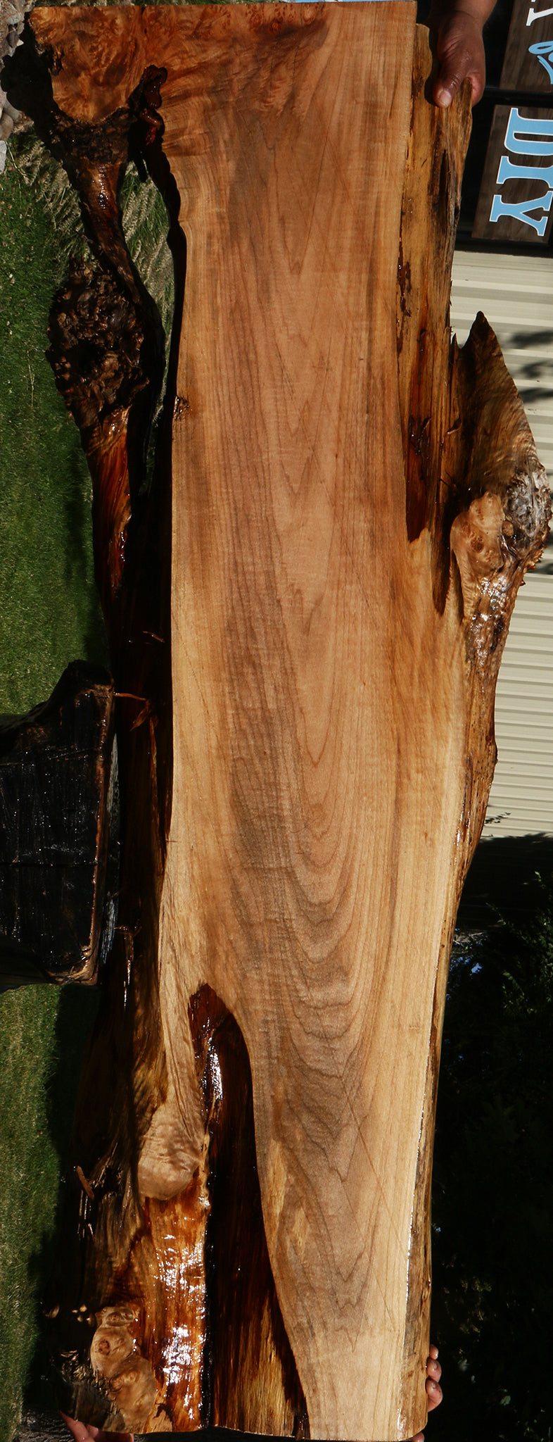 Figured Maple Live Edge Slab (Free Shipping Excluded)