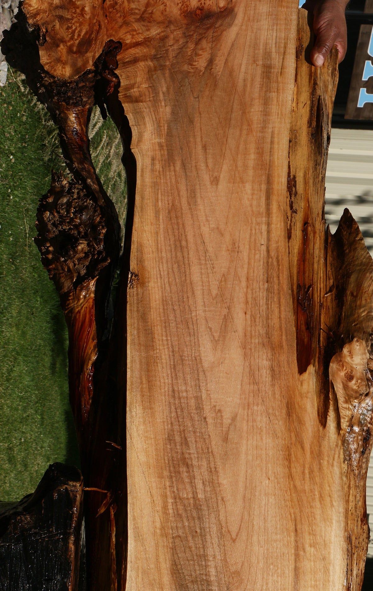 Figured Maple Live Edge Slab (Free Shipping Excluded)