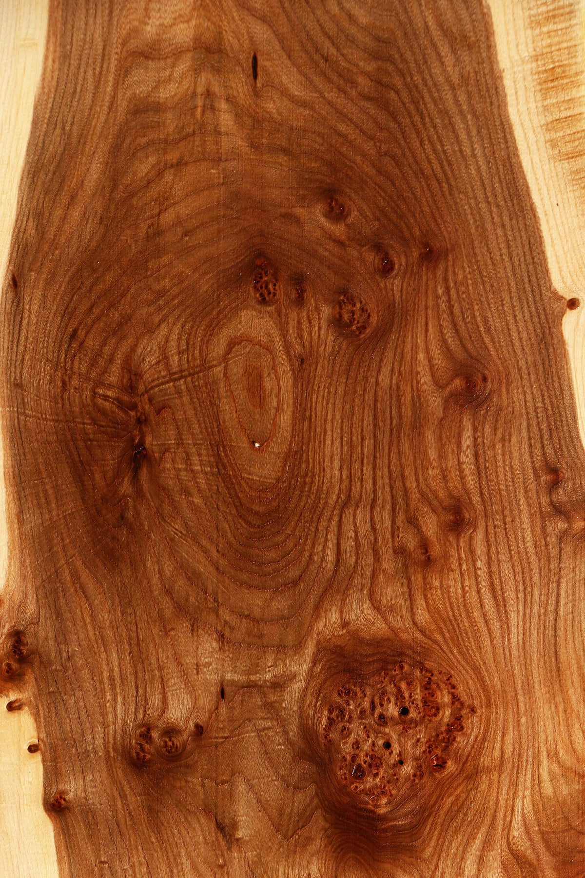 Elm Live Edge Slab (Free Shipping Excluded)
