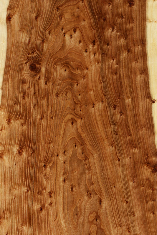 Elm Live Edge Slab (Free Shipping Excluded)