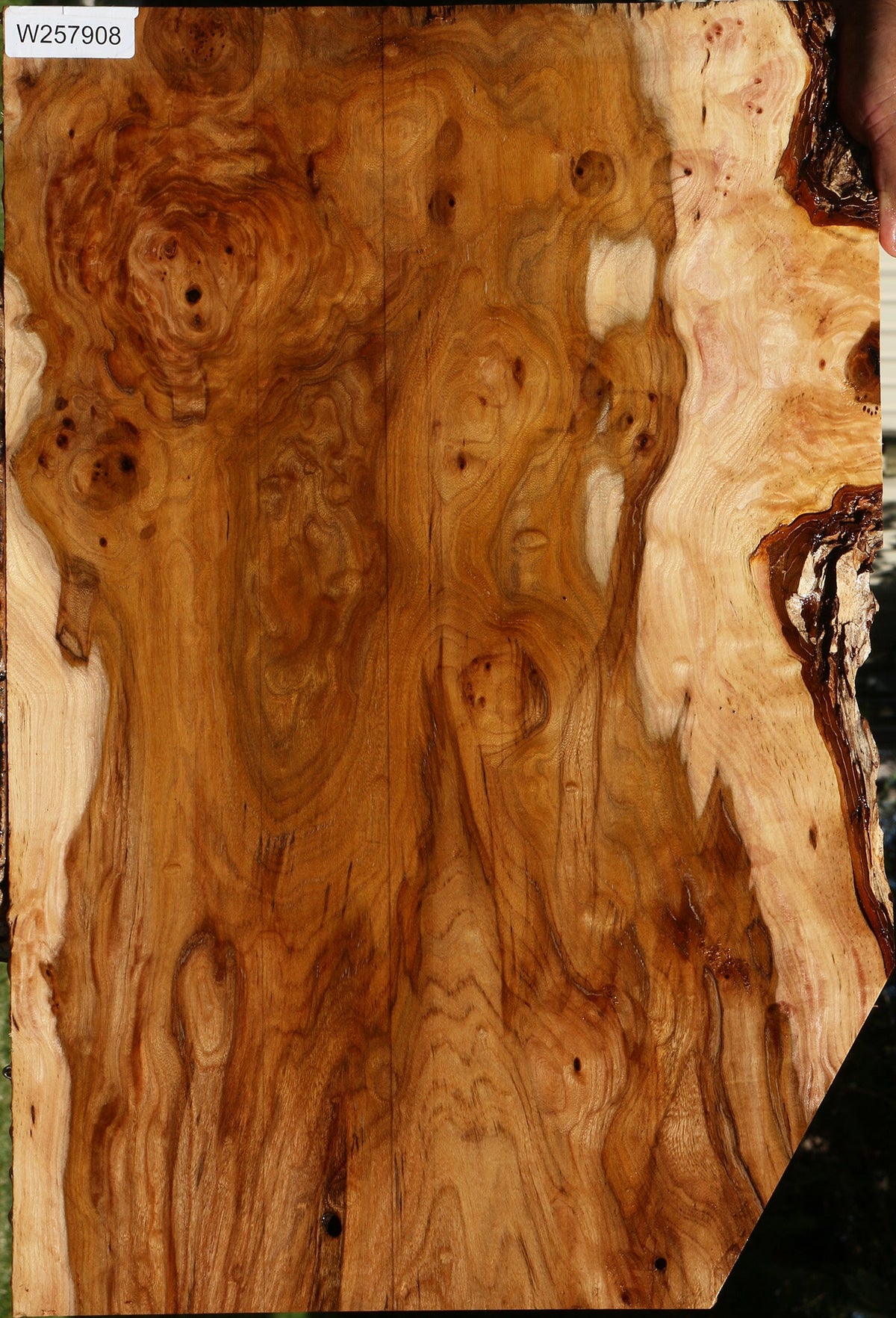 Extra Fancy Hickory Lumber