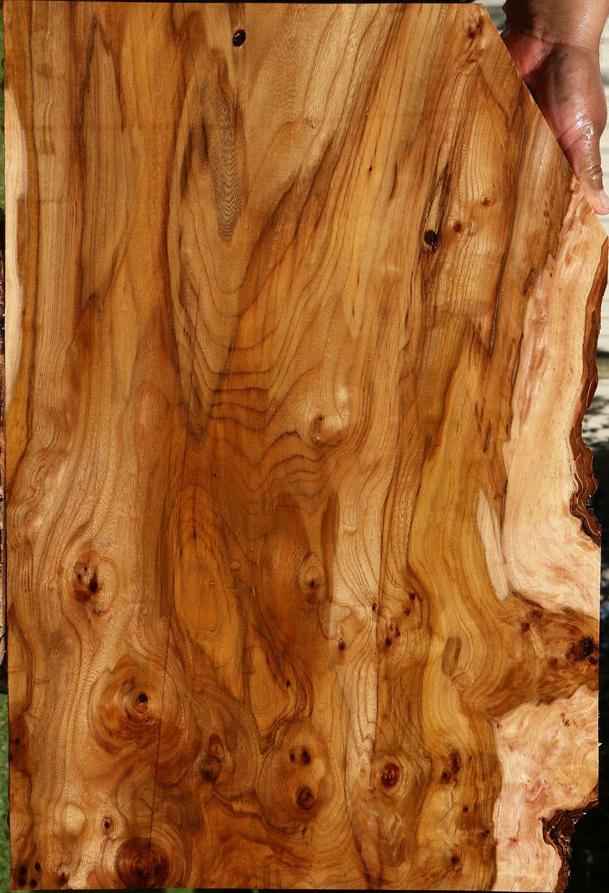 Extra Fancy Hickory Lumber