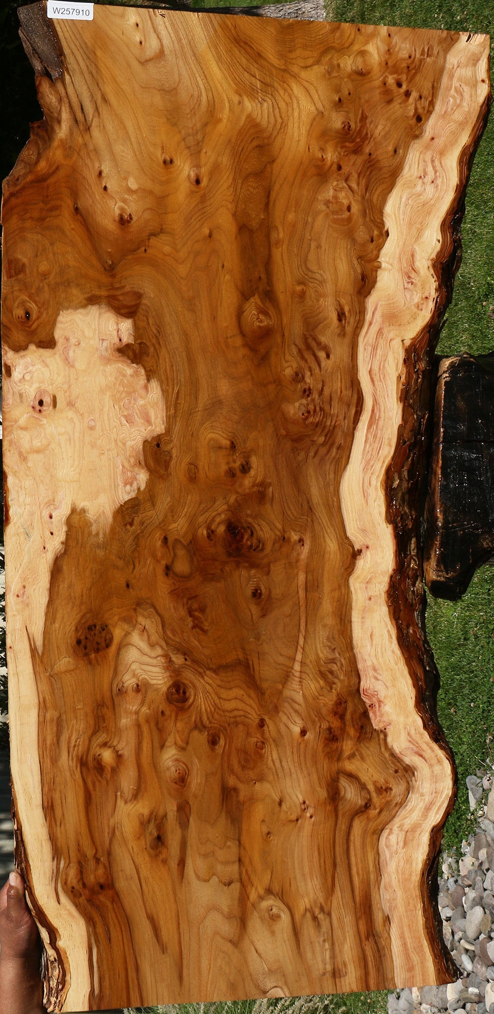 Exta Fancy Hickory Live Edge Slab (Free Shipping Excluded)