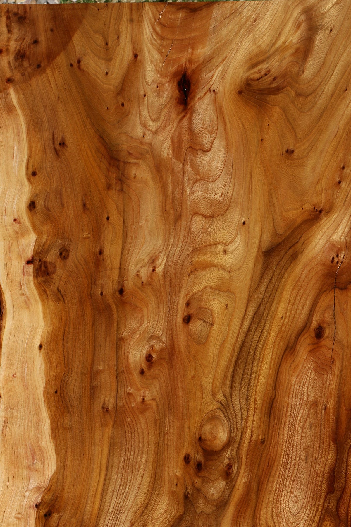 Exta Fancy Hickory Live Edge Slab (Free Shipping Excluded)