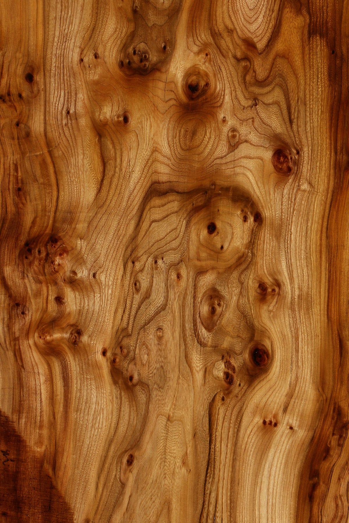 Exta Fancy Hickory Live Edge Slab (Free Shipping Excluded)