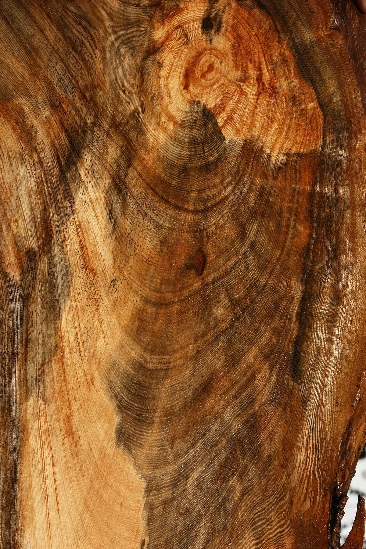Spalted Hackberry Live Edge Mini Slab