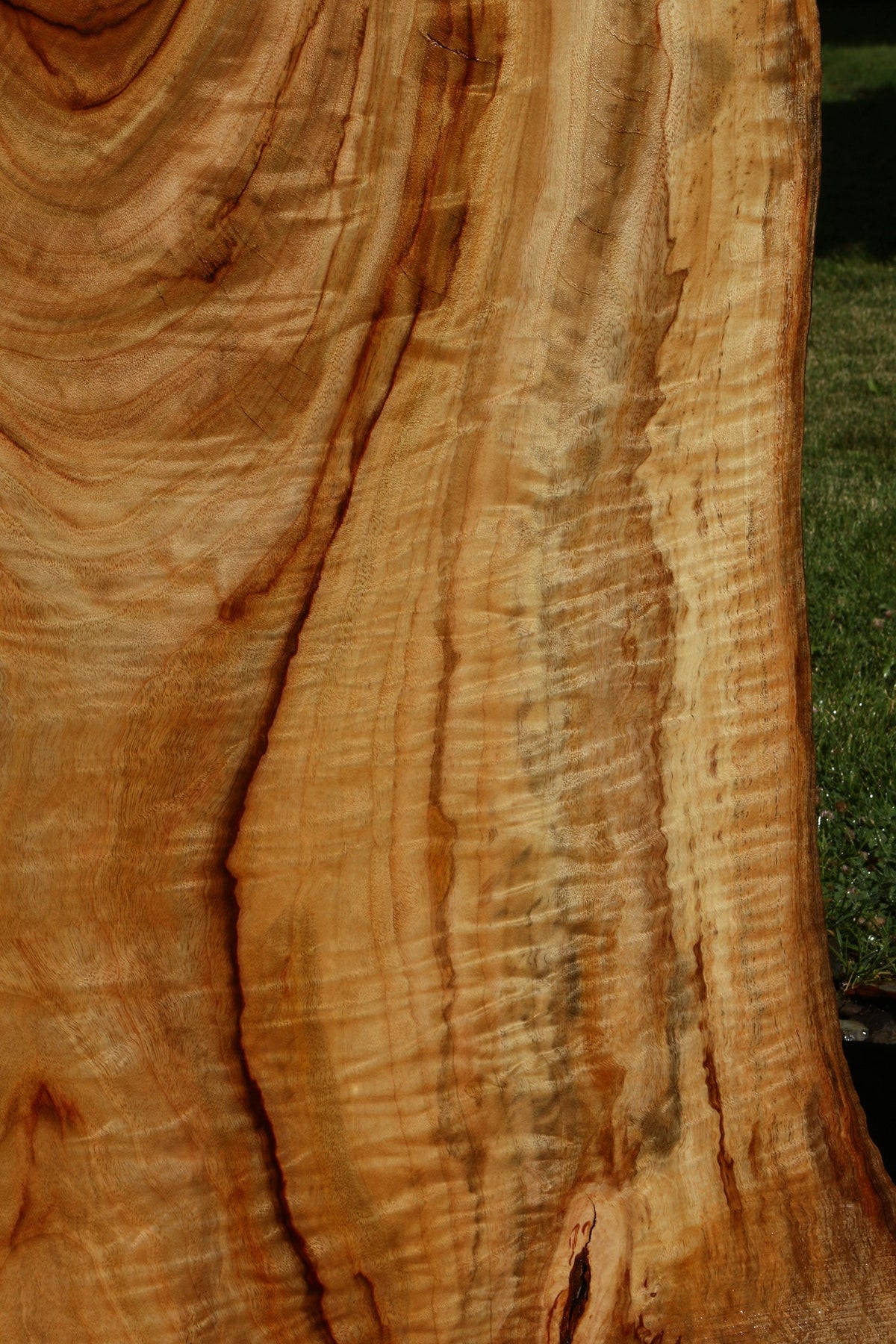 Figured Camphor Live Edge Slab