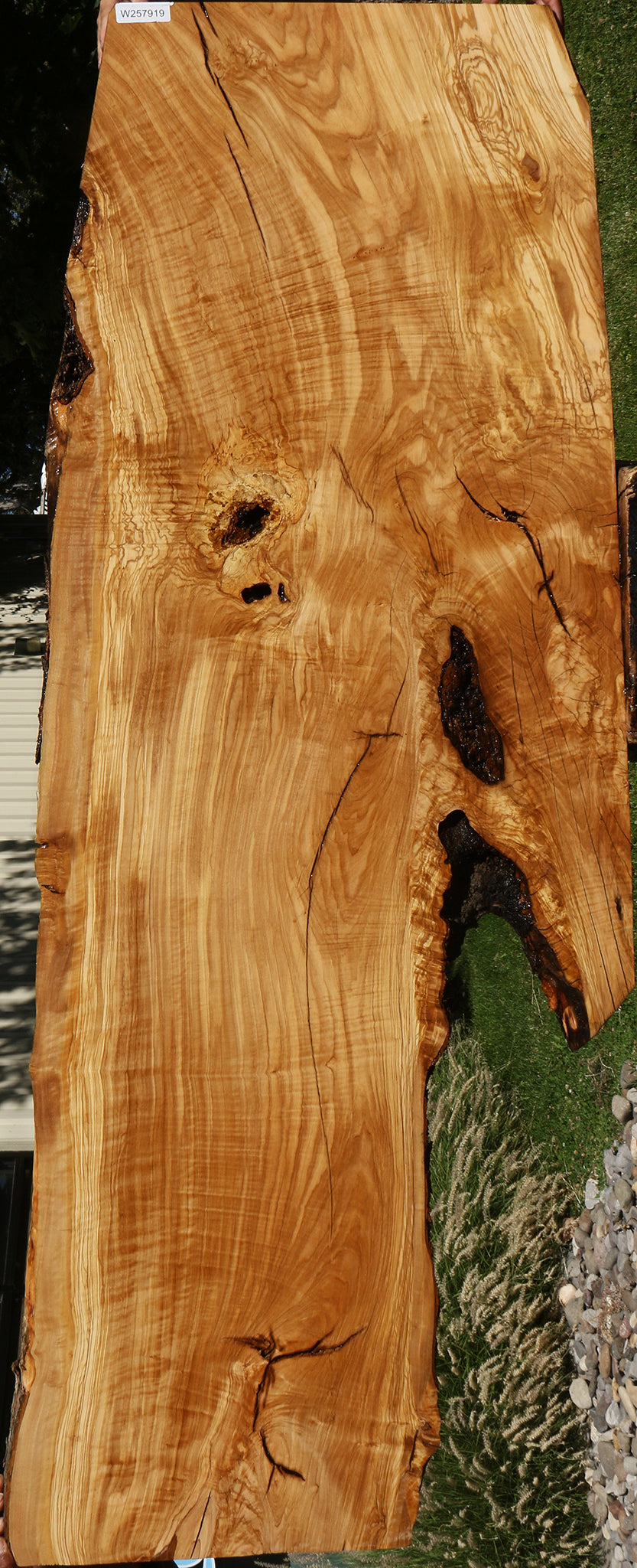 Rustic Italian Olive Live Edge Slab