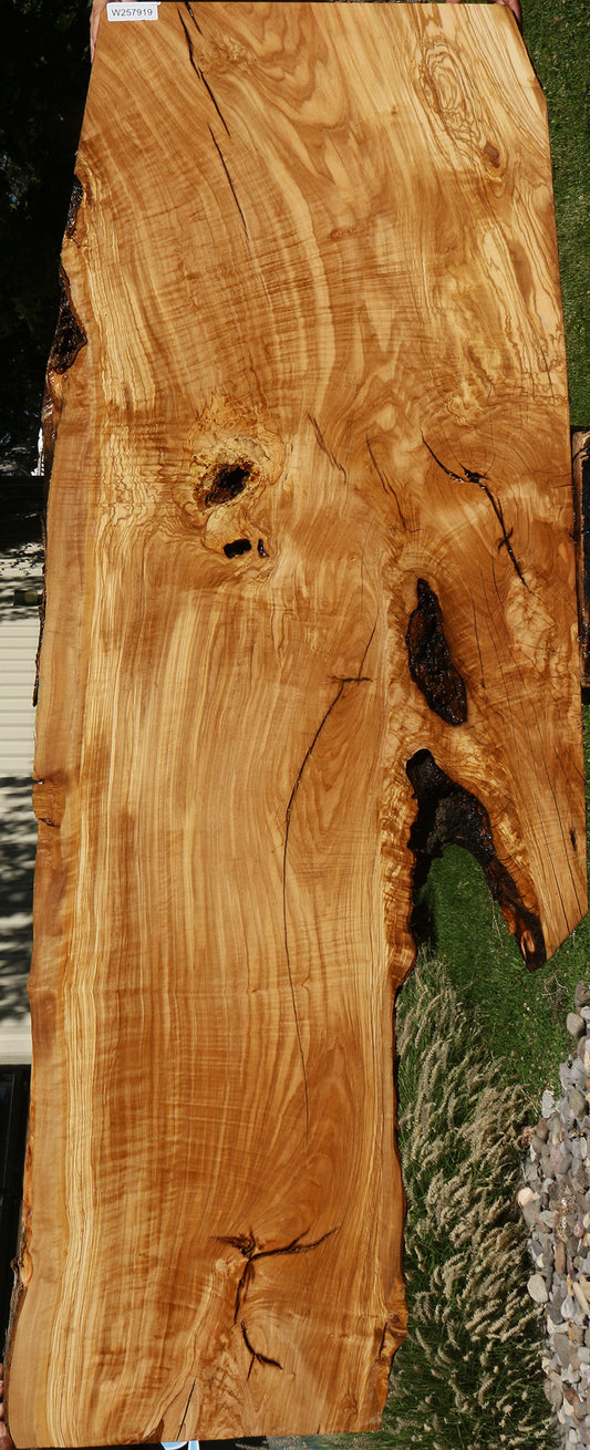 Rustic Italian Olive Live Edge Slab