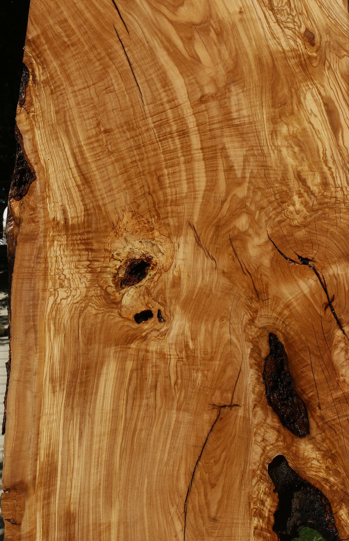 Rustic Italian Olive Live Edge Slab
