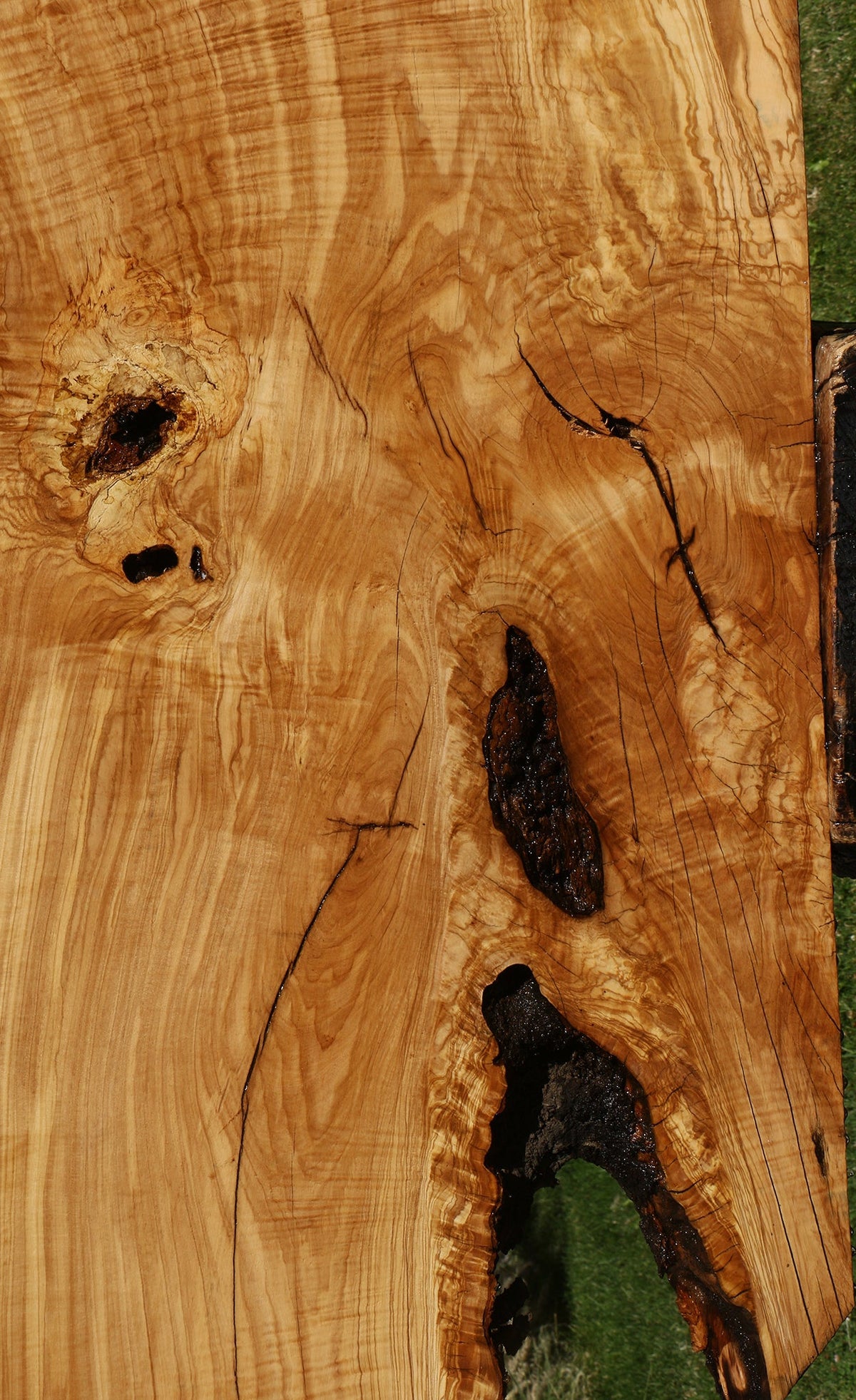 Rustic Italian Olive Live Edge Slab