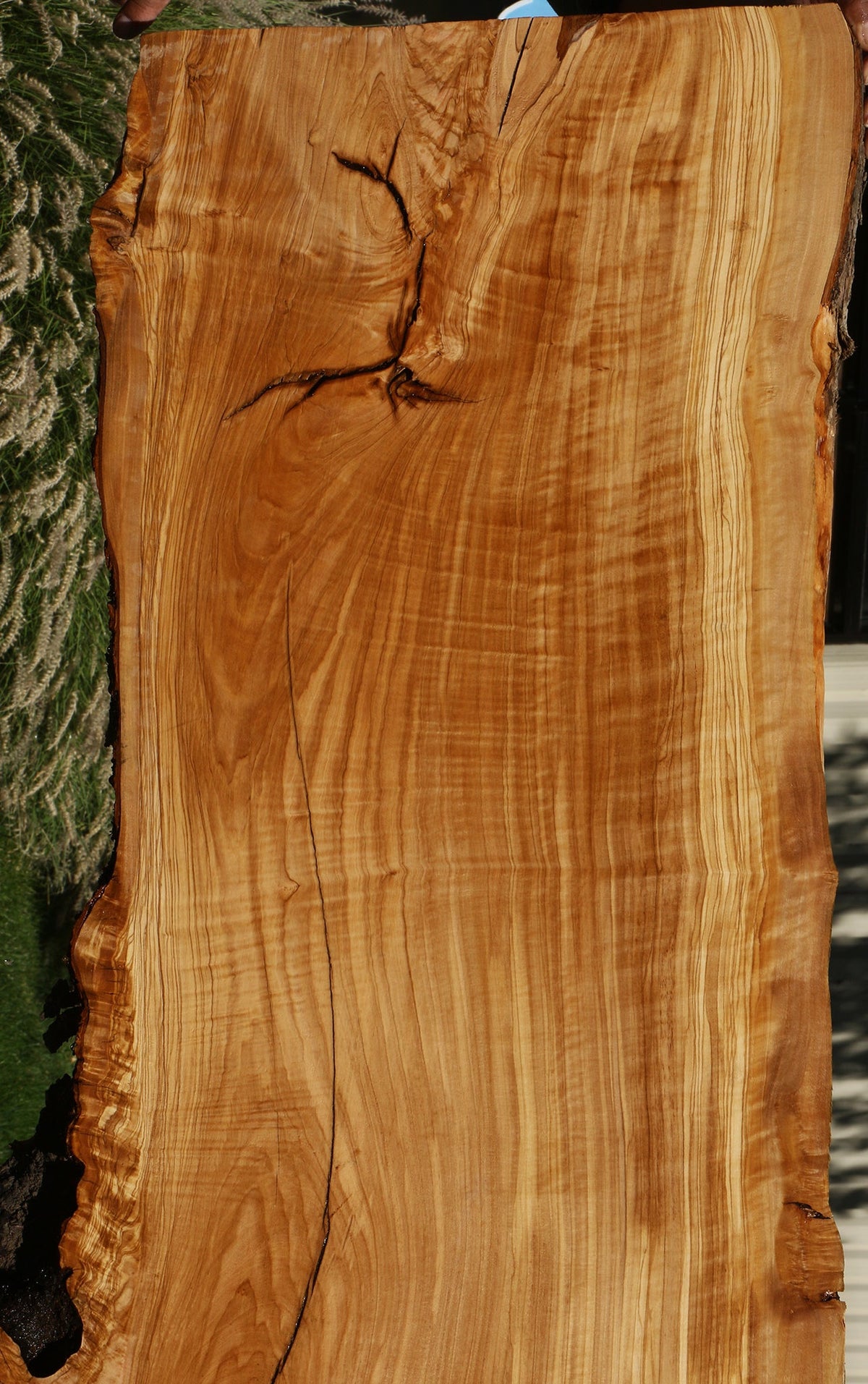 Rustic Italian Olive Live Edge Slab