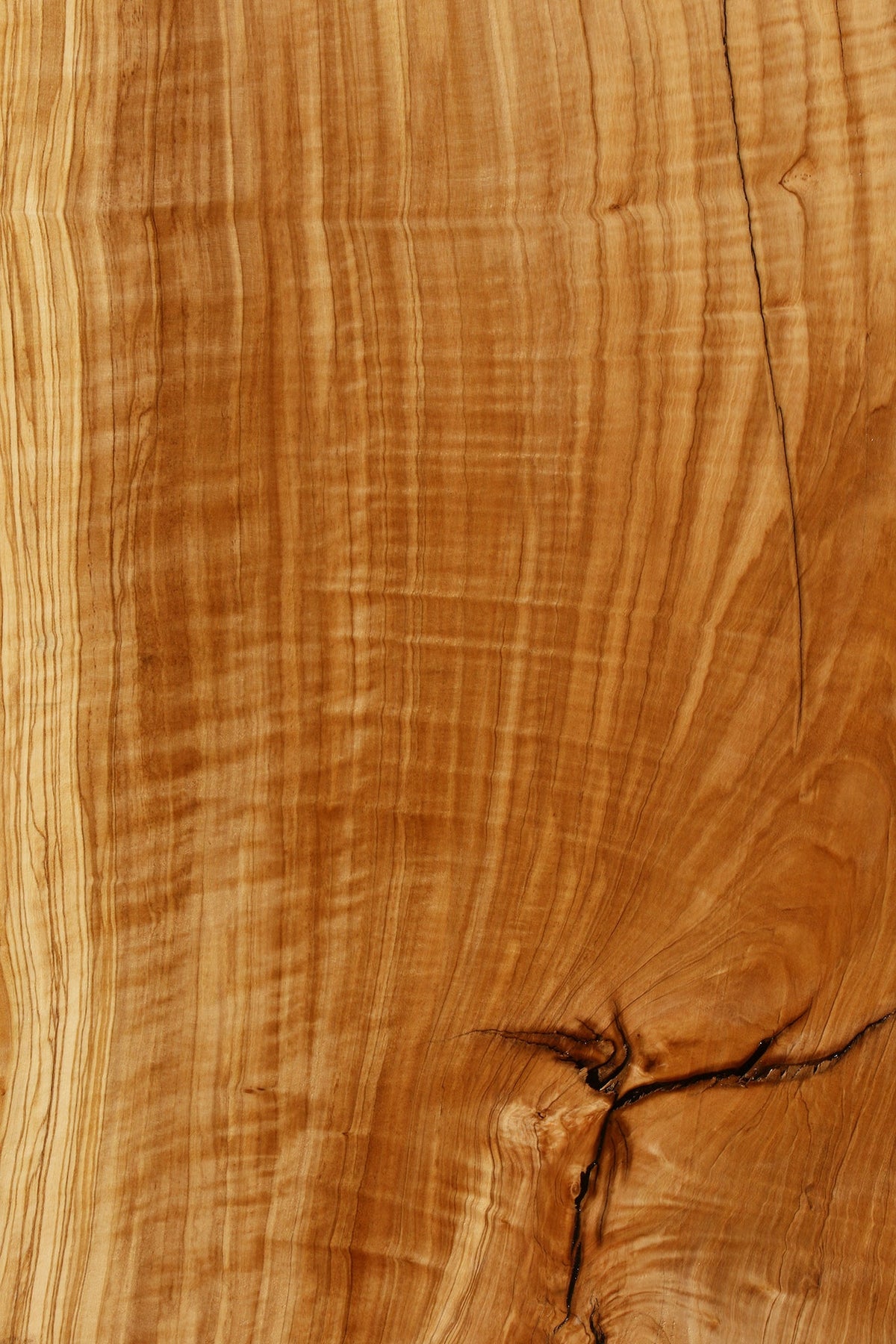 Rustic Italian Olive Live Edge Slab